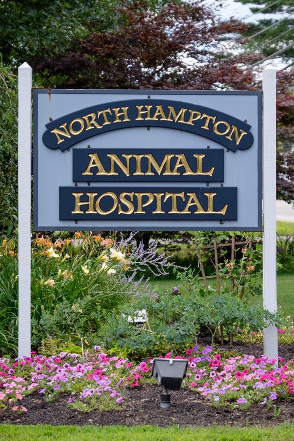 north-hampton-animal-hospital-5
